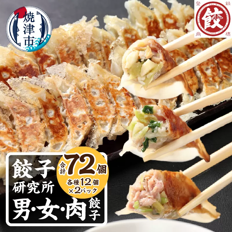 a11-154　餃子研究所 男餃子 女餃子 肉餃子 食べ比べ セット