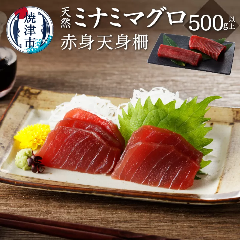 a10-953　キボシ水産 天然 鮪 南鮪 赤身 天身 柵 刺身 500g以上