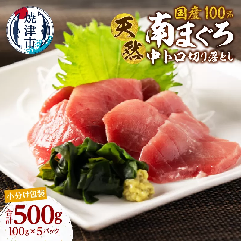 a10-1278 天然 ミナミマグロ 中トロ 小分け 焼津 海の極 計500g 100g×5P