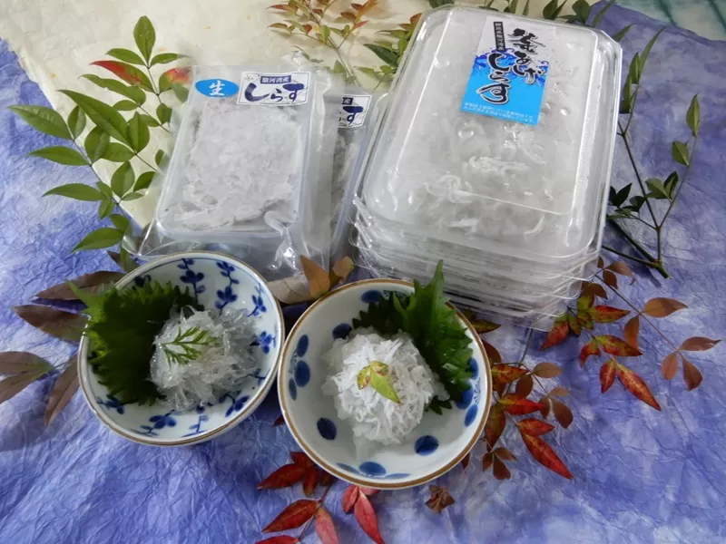 焼津産/お刺身生しらす・釜揚げしらす詰合せ