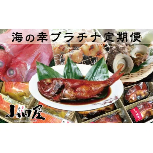 伊豆半島　海の幸　プラチナ　定期便　6回　I005／山田屋海産　産直　稲取　キンメ　静岡県　東伊豆町