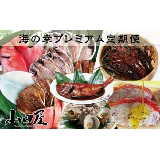伊豆半島　海の幸　プレミアム　定期便　12回　I004／山田屋海産　海老　鯛　海鮮　静岡県　東伊豆町