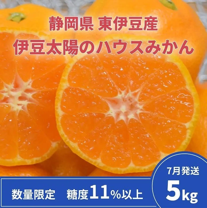 糖度11％以上　JAふじ伊豆　伊豆太陽のハウスみかん　5kg　静岡県産 1312 ／JAふじ伊豆 ハウスみかん みかん 静岡県 東伊豆町