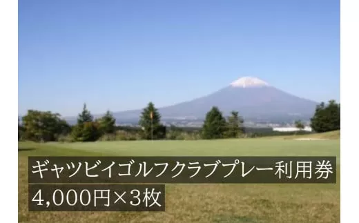 I9ギャツビイゴルフクラブプレー利用券　3枚 【小山町内 ゴルフ場 共通利用券】