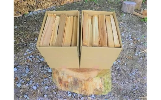 1B12「きこりの薪」A足柄山セット　針葉樹