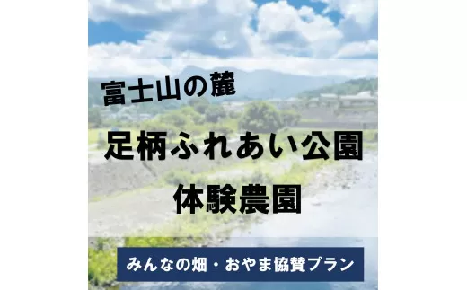 S25足柄ふれあい公園 体験農園 みんなの畑・おやま協賛プラン