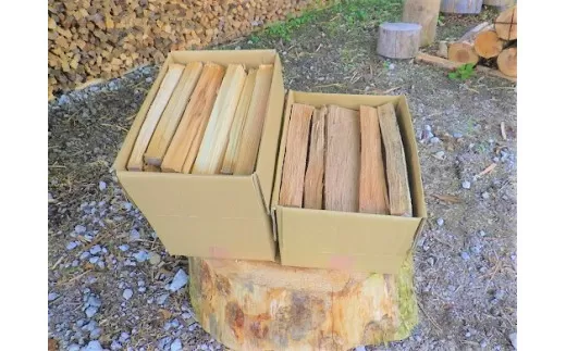 1B14「きこりの薪」C富士山セット 針葉樹と広葉樹