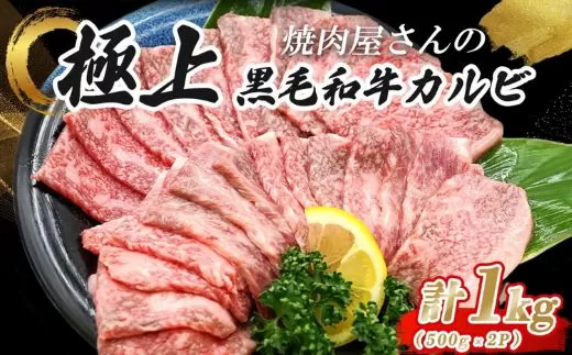 H9焼肉屋さんの極上黒毛和牛カルビ 特製醤油だれ漬け 500g×2パック