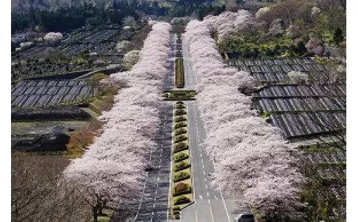 G23冨士霊園施設利用券（8枚）