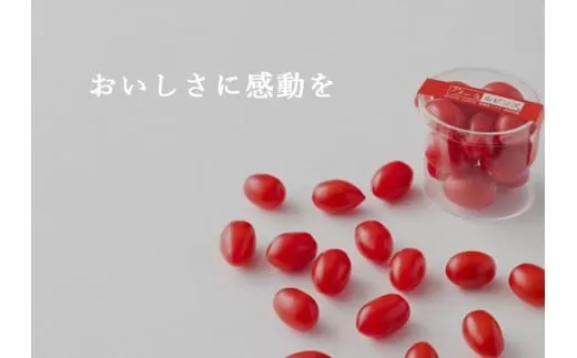 B50アメーラルビンズ　5パック入り
