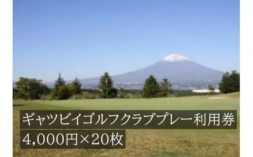 Y1ギャツビイゴルフクラブプレー割引券　20枚