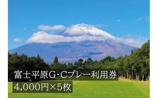 L25富士平原Ｇ・Ｃプレー利用券　５枚