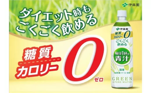 1D1伊藤園　ごくごく飲める毎日1杯の青汁　900g　12本