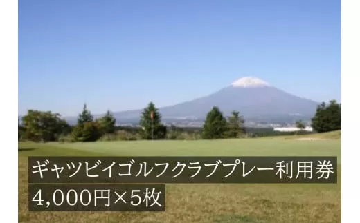 L19ギャツビイゴルフクラブプレー利用券　5枚 【小山町内 ゴルフ場 共通利用券】