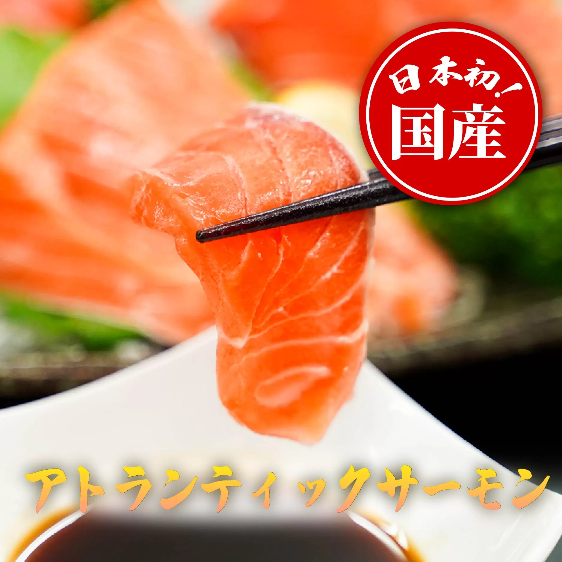 1B6【日本初：完全陸上養殖】「 フジサクラサーモン 」【 生 ・冷蔵】800ｇ