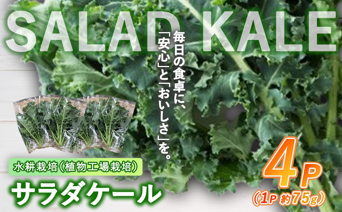 【無農薬】水耕栽培(植物工場栽培)サラダケール 300g(約75g×4P)(その他)