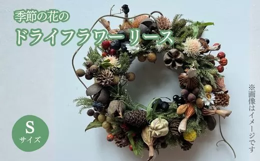 E14季節の花のドライフラワー　リース Sサイズ