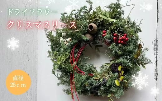 2G15ドライフラワー　クリスマスリース