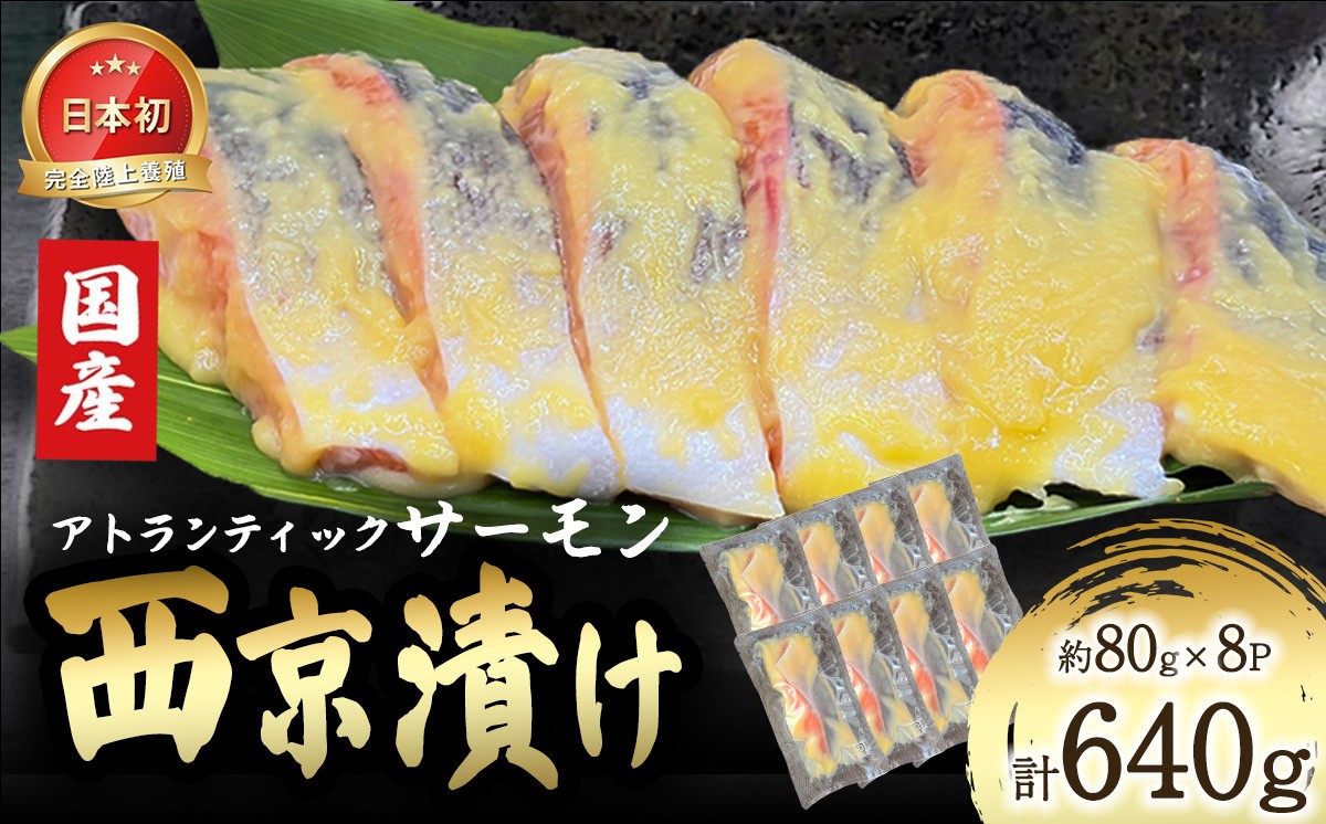 小山町産アトランティックサーモン追い麹西京漬け　8切（その他）