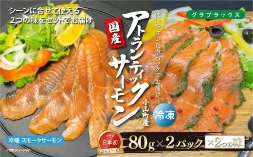 10B15国産 小山町産 アトランティックサーモン 冷凍 スモークサーモン 冷燻・グラブラックス 食べ比べセット80g×2パック×2つの味