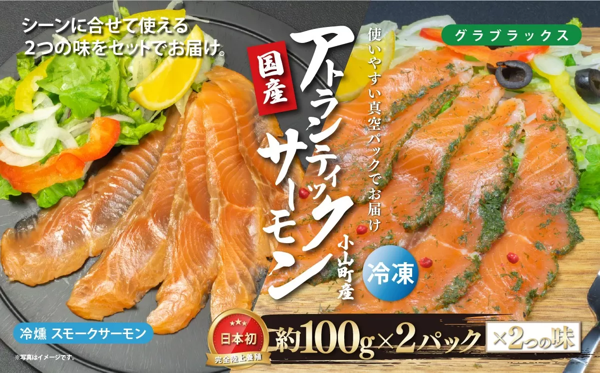 国産 小山町産 アトランティックサーモン 冷凍 スモークサーモン 冷燻・グラブラックス 食べ比べセット100g×2パック×2つの味