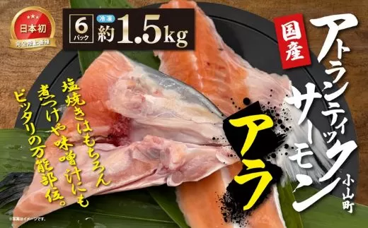 日本初 完全陸上養殖 静岡県小山町産 アトランティックサーモン 冷凍 アラ6パック 約1.5kg