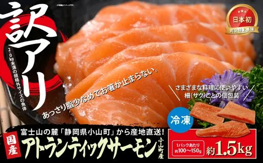 【訳アリ】小山町産 アトランティックサーモン 約1.5kg（柵）魚体2.0kg未満