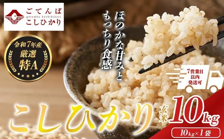 令和7年産 コシヒカリ 【 玄米 】 10㎏ 
