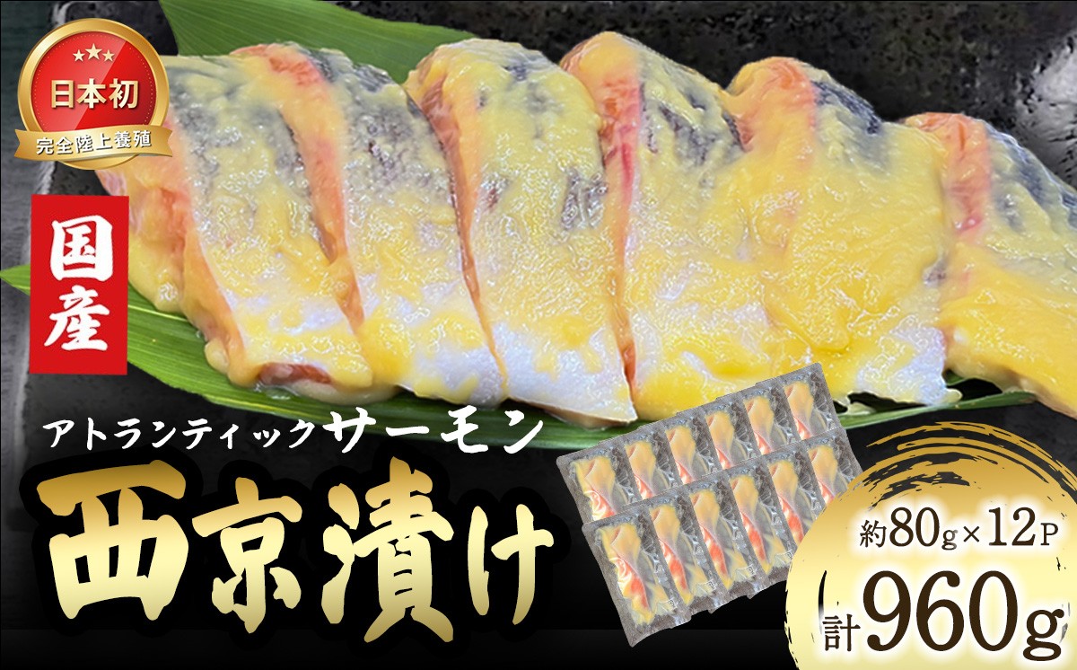 小山町産アトランティックサーモン追い麹西京漬け　12切（その他）
