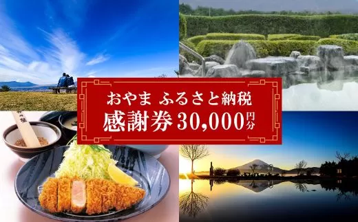 O40おやま ふるさと納税 感謝券 100,000円分（1,000円券×30枚）