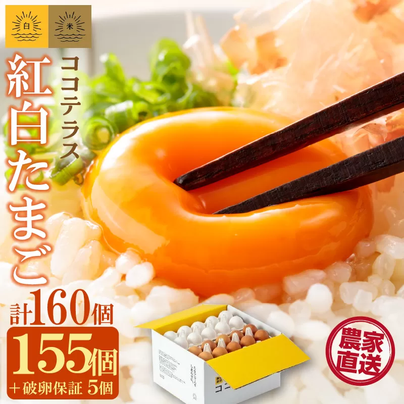 ココテラスの紅白たまご　155個 + 5個保証（計160個）【JGAP認証】