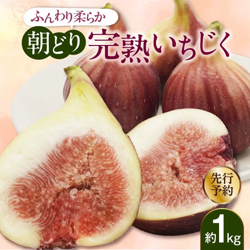 ふんわり柔らか朝どり完熟いちじく