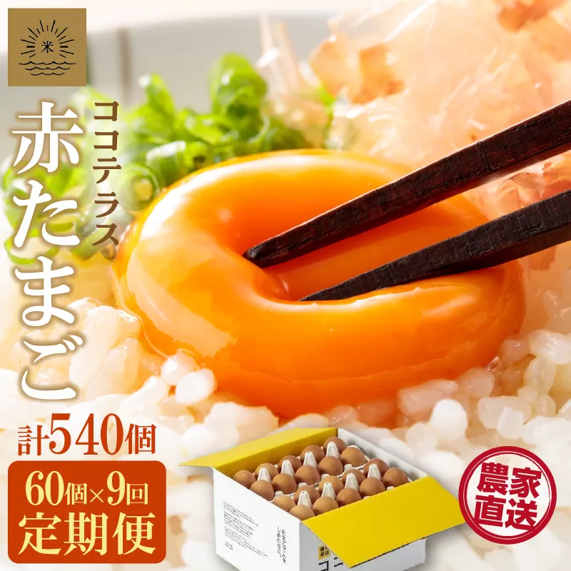 【9ヵ月定期便】ココテラスの明日（赤たまご）55個 + 5個保証（計60個）【JGAP認証】