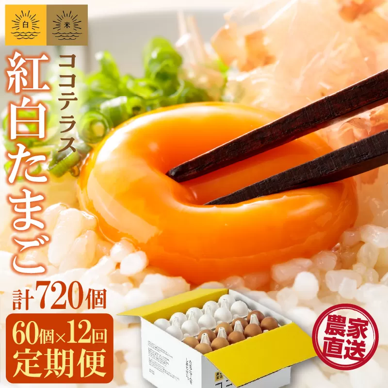 【12ヵ月定期便】ココテラスの紅白たまご　55個 + 5個保証（計60個）