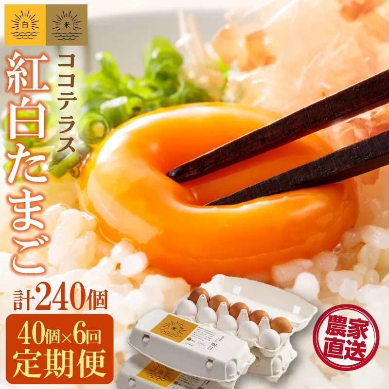 【6ヵ月定期便】ココテラスの紅白たまご　35個 + 5個保証（計40個）【JGAP認証】