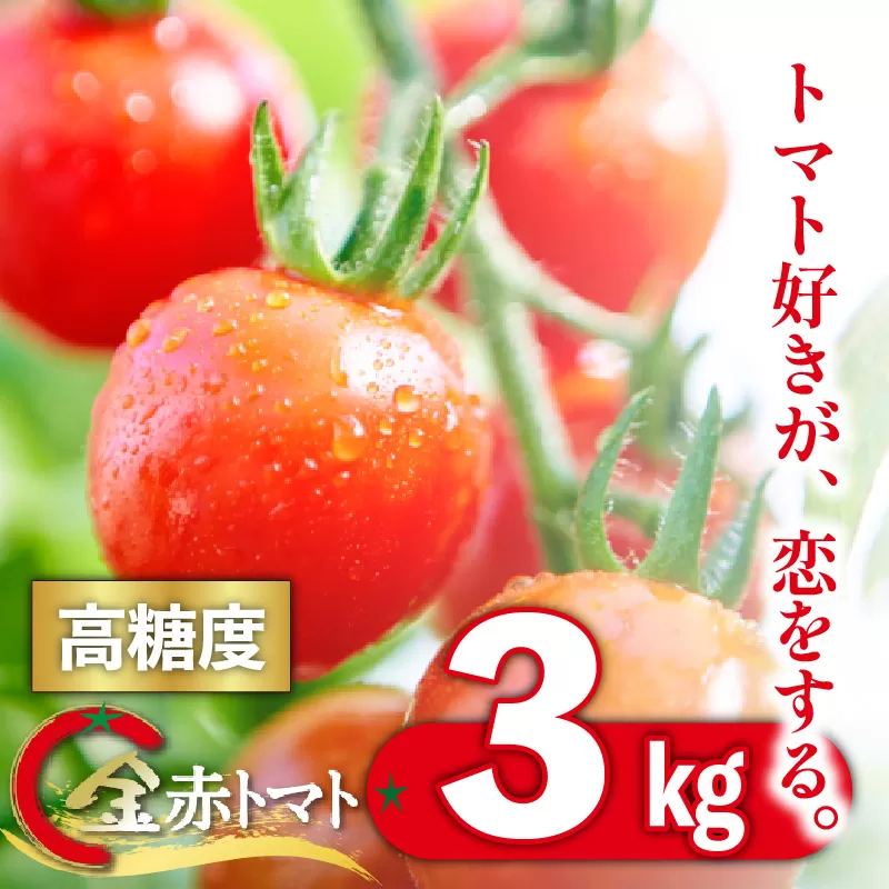 トマト好きが、恋をする。3kg　金赤トマトミニ