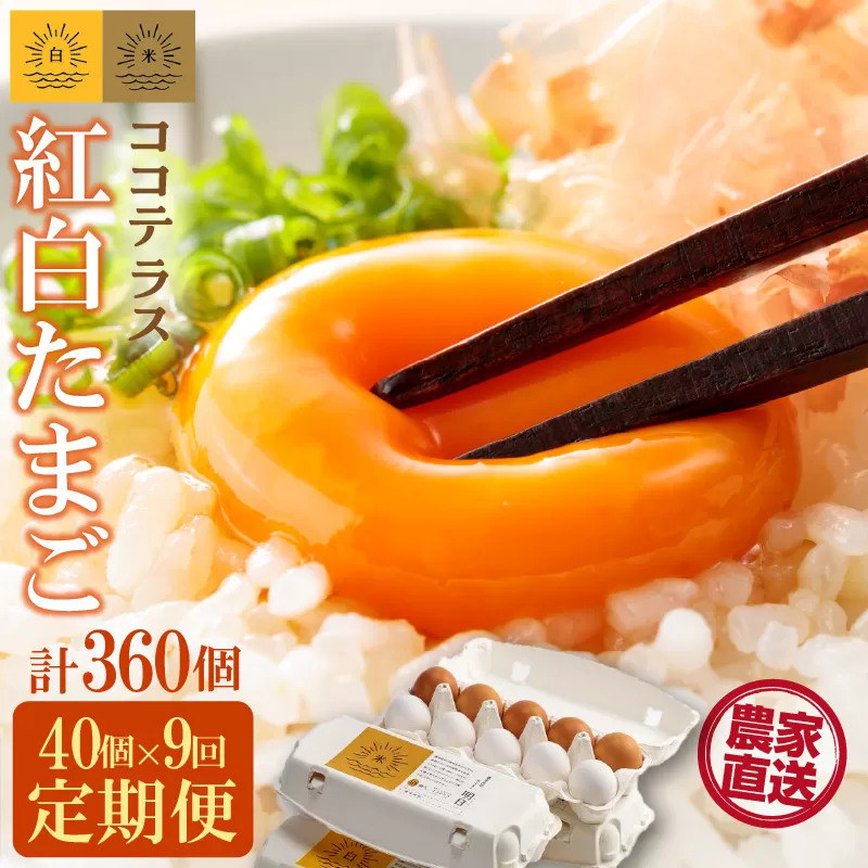 【9ヵ月定期便】ココテラスの紅白たまご　35個 + 5個保証（計40個）【JGAP認証】