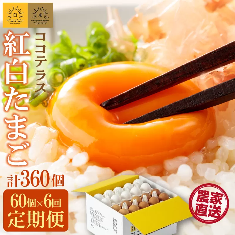 【6ヵ月定期便】ココテラスの紅白たまご　55個 + 5個保証（計60個）【JGAP認証】