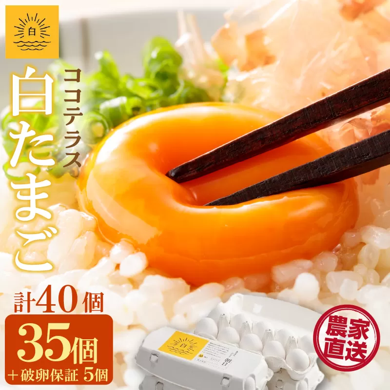ココテラスの朝日（白たまご）35個 + 5個保証（計40個）【JGAP認証】