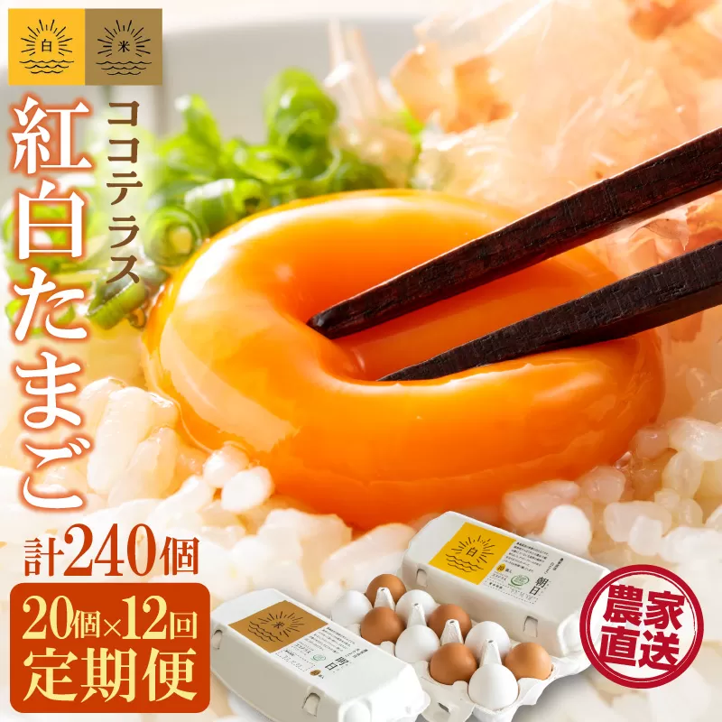 【12ヵ月定期便】ココテラスの紅白たまご　15個 + 5個保証（計20個）【JGAP認証】