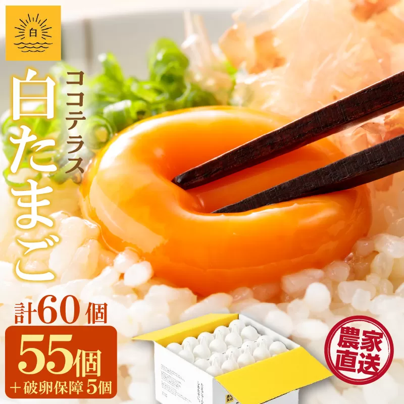 ココテラスの朝日（白たまご）55個 + 5個保証（計60個）【JGAP認証】
