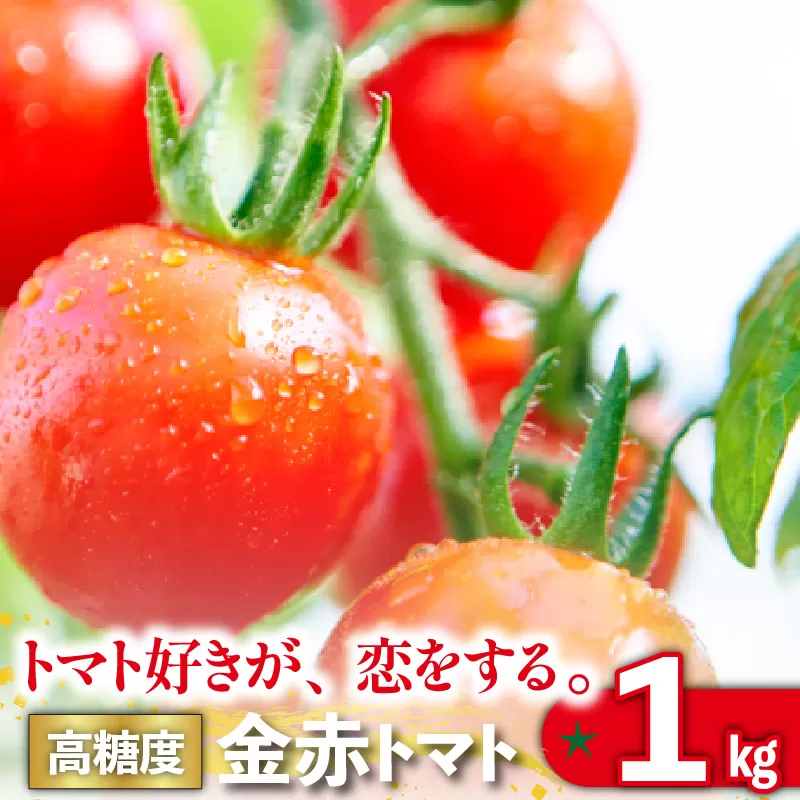 トマト好きが、恋をする。　1kg　金赤トマトミニ