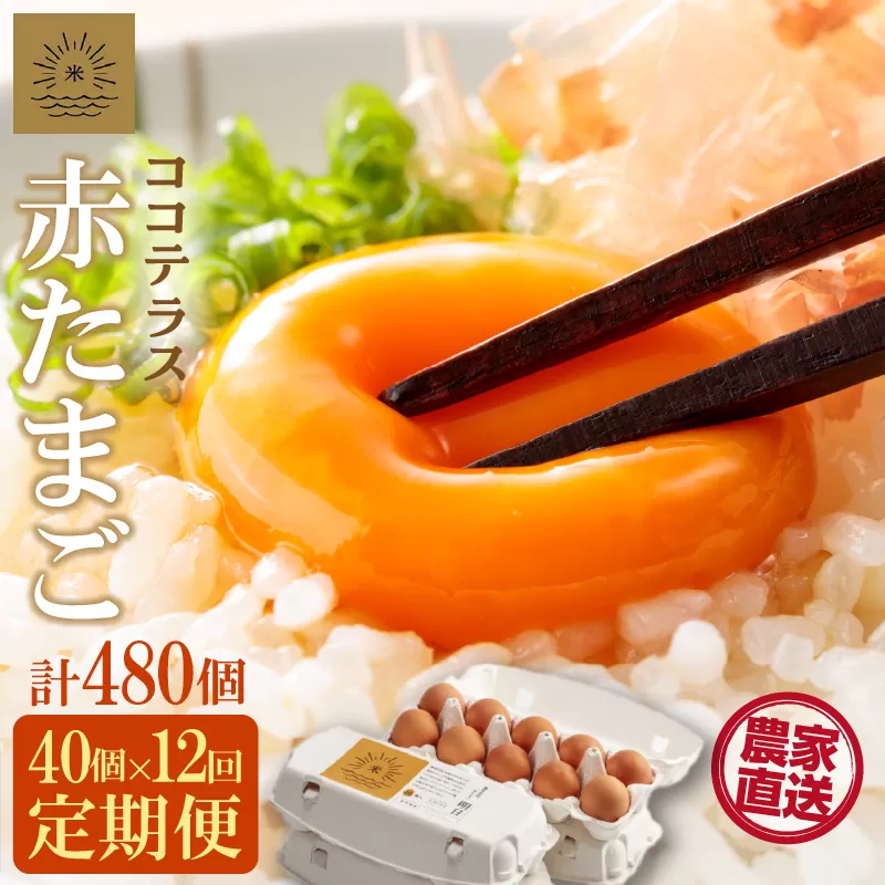 【12ヵ月定期便】ココテラスの明日（赤たまご）35個 + 5個保証（計40個）【JGAP認証】