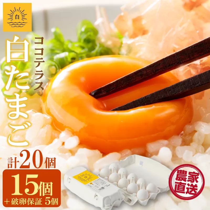 ココテラスの朝日（白たまご）15個 + 5個保証（計20個）【JGAP認証】