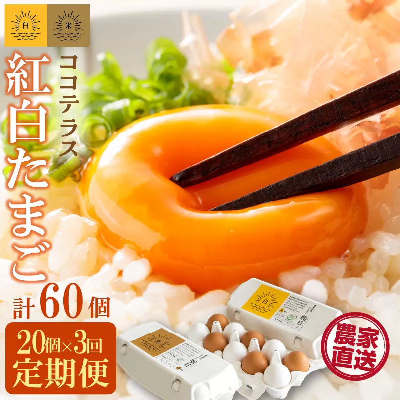 【3ヵ月定期便】ココテラスの紅白たまご　15個 + 5個保証（計20個）【JGAP認証】