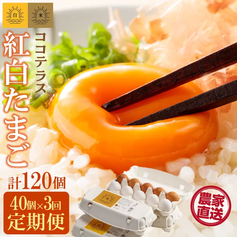 【3ヵ月定期便】ココテラスの紅白たまご　35個 + 5個保証（計40個）【JGAP認証】