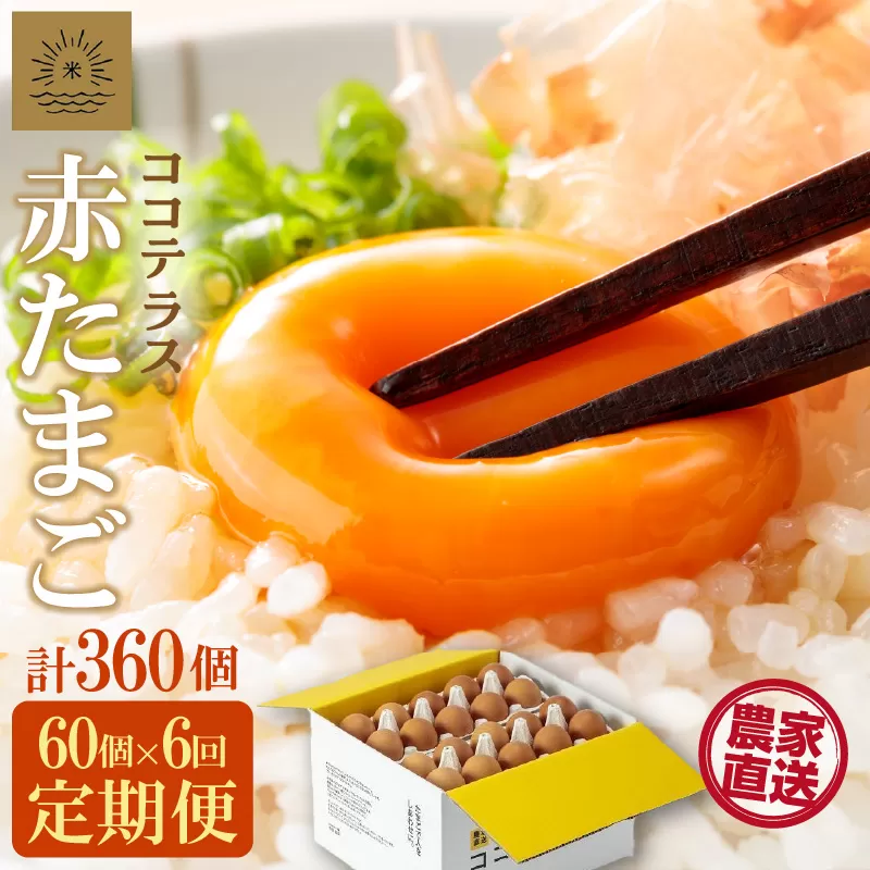 【6ヵ月定期便】ココテラスの明日（赤たまご）55個 + 5個保証（計60個）【JGAP認証】