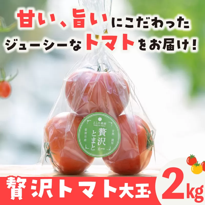 フルーツトマト　贅沢トマト2kg　よこた農園　大玉