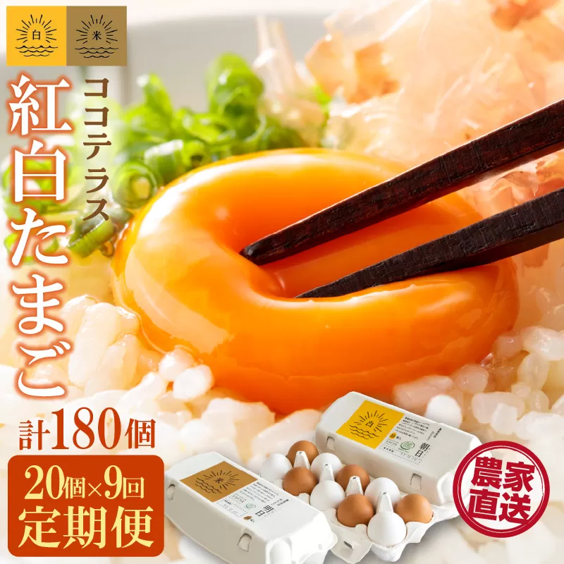 【9ヵ月定期便】ココテラスの紅白たまご　15個 + 5個保証（計20個）【JGAP認証】