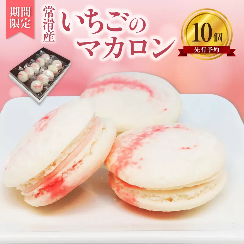 常滑いちごのマカロン10個セット
